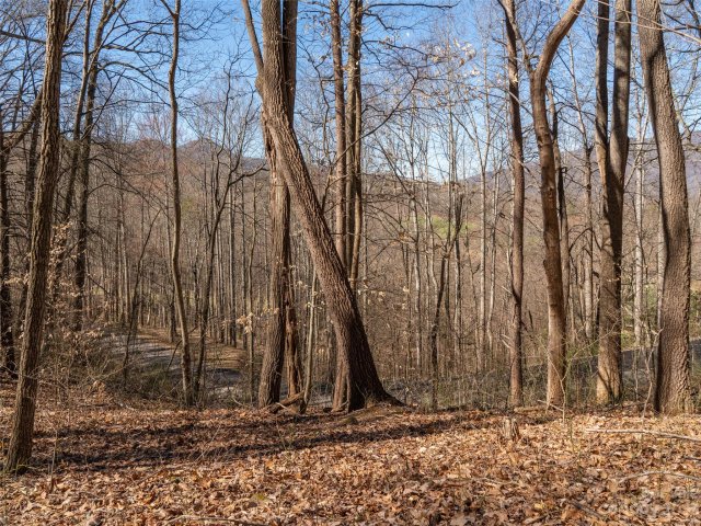 103 Lindon Cove Road 31 sold home in Lindon Cove Crossing, Candler, NC