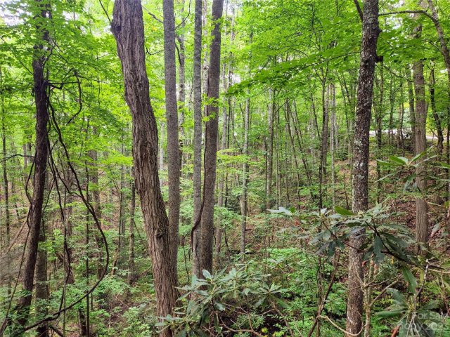 19 Connies Cove sold home in Cherry Hill Est, Waynesville, NC