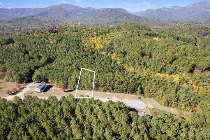 Homes in The Pinnacle At Ridgeview, Rutherfordton
