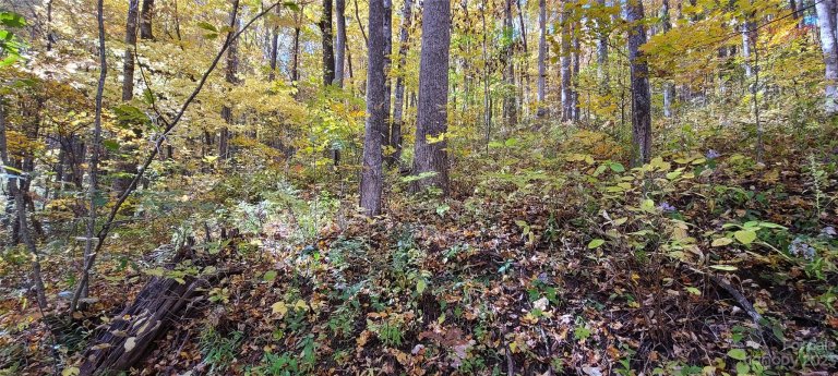 0 Heather Way sold home in Balsam Forest, Waynesville, NC