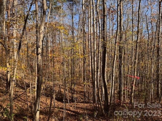 491 Patriots Way sold home in Mountain Brook, Clover, SC