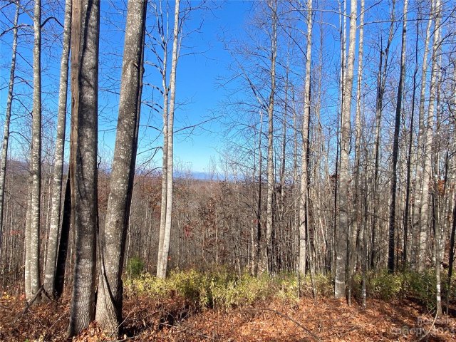 Tbd Meditation Ridge Drive 43 active home in Hidden Lake, Nebo, NC