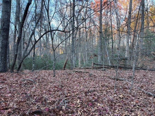 0 Rocky Mount Drive 52 sold home in Carolina Mountains, Lake Lure, NC