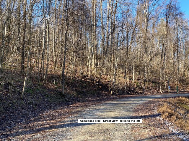 Lot 28 Appaloosa Trail sold home in Cataloochee Ranch Estates, Waynesville, NC