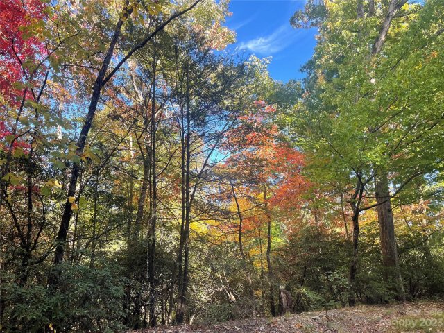 56 Wilson Court sold home in Shumont Estates, Lake Lure, NC