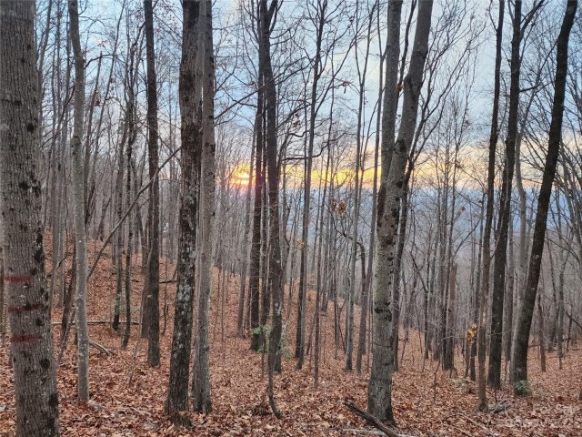 22 Amelia Lane sold home in Golden Valley Estates, Bostic, NC