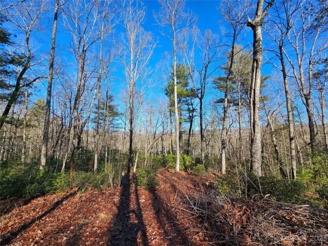 100 Big Bear Trail sold home in Rock Creek, Zirconia, NC