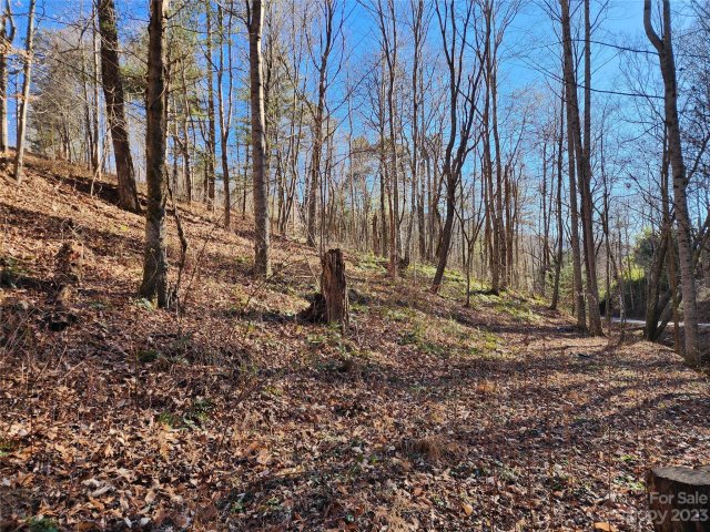 00 Curly Maple Drive 2 sold home in Silent Forest, Canton, NC