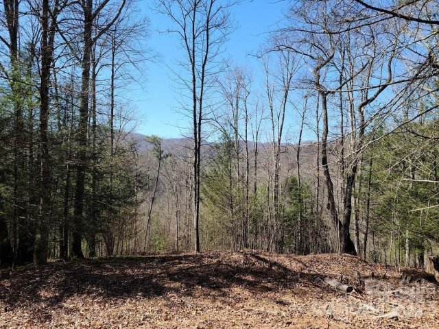 000 Elise Way Lot 7 sold home in River Woods, Waynesville, NC