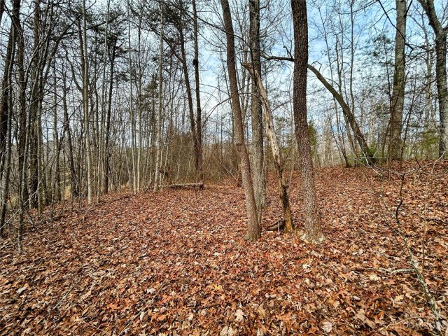 Lot 1 Azalea Way sold home in Little Warrior Mtn Estates, Saluda, NC