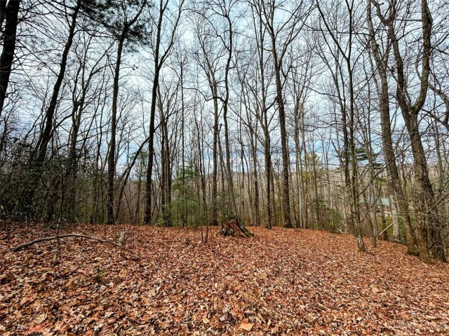 Lot 11 Rhododendron Drive active home in Little Warrior Mtn Estates, Saluda, NC