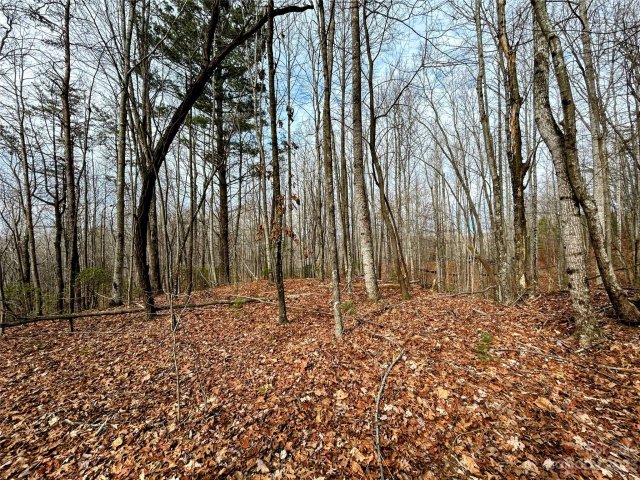 Lot 14 Rhododendron Drive active home in Little Warrior Mtn Estates, Saluda, NC