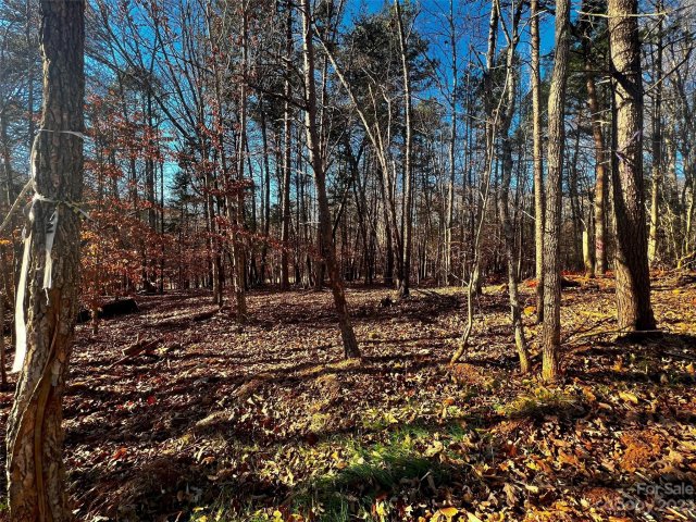 156 Copper Pine Lane active home in Copper Pine, Davidson, NC