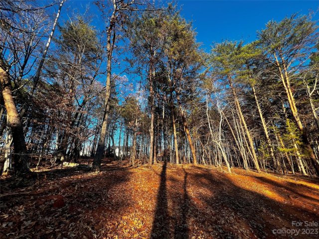 127 Hunt Camp Trail 16 active home in Copper Pine, Davidson, NC