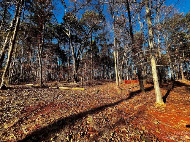 123 Hunt Camp Trail 17 active home in Copper Pine, Davidson, NC