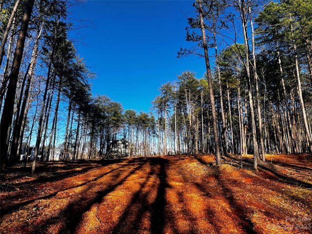 109 Hunt Camp Trail 19 active home in Copper Pine, Davidson, NC
