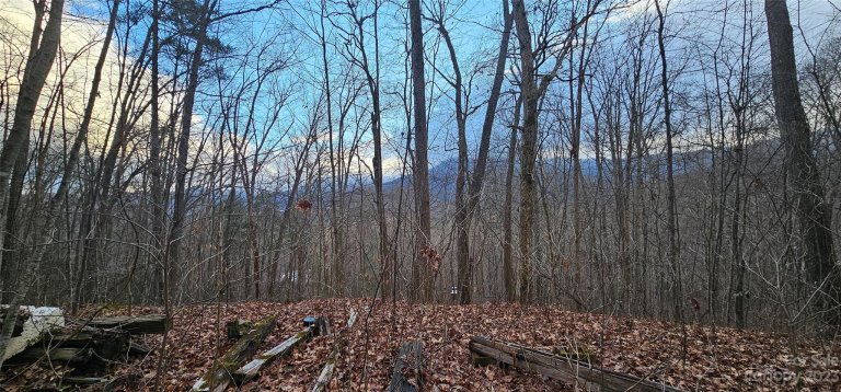 Lot 8 Seay Mountain Road sold home in Seay Mountain, Waynesville, NC