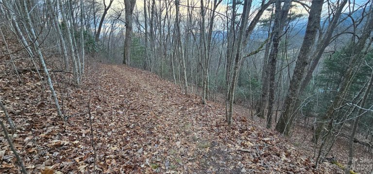 Lot 9 Seay Mountain Road active home in Seay Mountain, Waynesville, NC