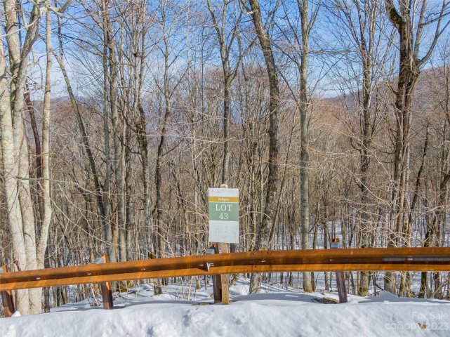 Lot 43 Black Bear Run active home in The Preserve at Wolf Laurel, Mars Hill, NC