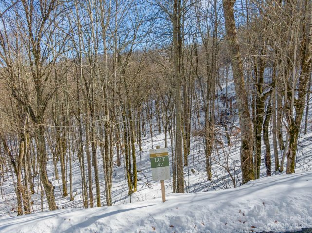 Lot 42 Black Bear Run active home in The Preserve at Wolf Laurel, Mars Hill, NC