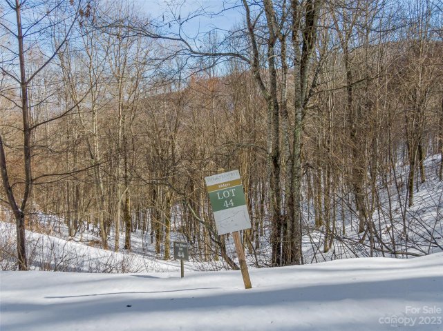 Lot 44 Black Bear Run active home in The Preserve at Wolf Laurel, Mars Hill, NC