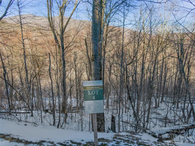 Lot 4 Mountain Gait Drive active home in The Preserve at Wolf Laurel, Mars Hill, NC