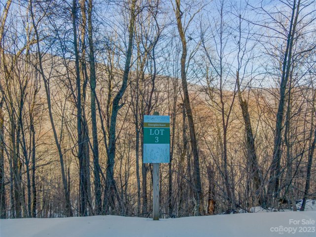 Lot 3 Mountain Gait Drive active home in The Preserve at Wolf Laurel, Mars Hill, NC