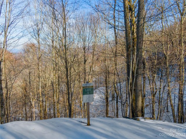 Lot 1 Mountain Gait Drive active home in The Preserve at Wolf Laurel, Mars Hill, NC