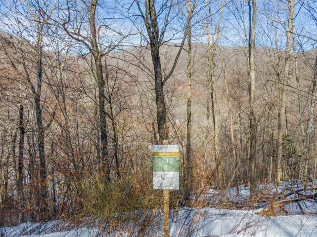 Lot 8 Settlement Way active home in The Preserve at Wolf Laurel, Mars Hill, NC