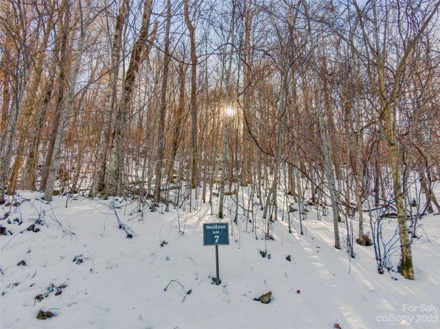 Lot 7 Hadleigh Pearl Way active home in The Preserve at Wolf Laurel, Mars Hill, NC