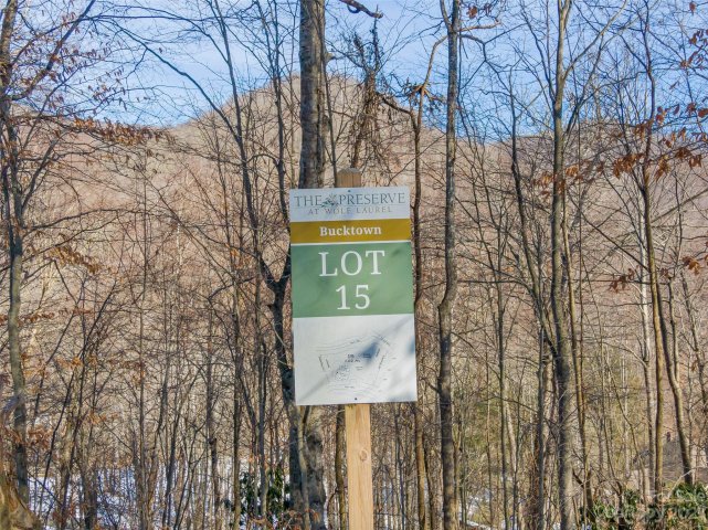 Lot 15 Hadleigh Pearl Way active home in The Preserve at Wolf Laurel, Mars Hill, NC