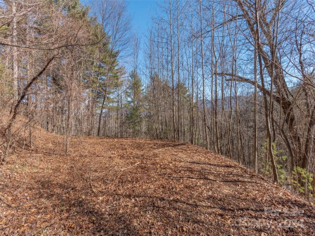 1165 Scenic Circle sold home in Little Mountain, Waynesville, NC