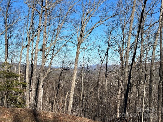 242 Black Bear Ridge Trail sold home in Rock Creek, Zirconia, NC