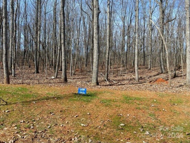 Lot 6 Brancer Lane sold home in Magnolia Ridge, Lincolnton, NC