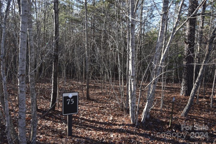 Lot 75 Tayberry Drive active home in Blackberry Creek, Nebo, NC