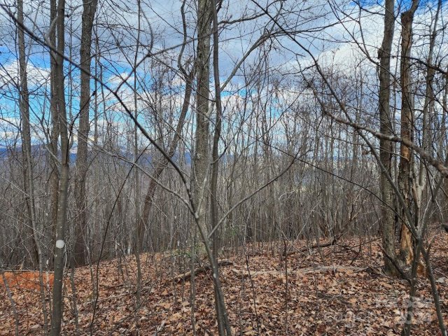 48 Peseco Drive sold home in The Summit, Bostic, NC