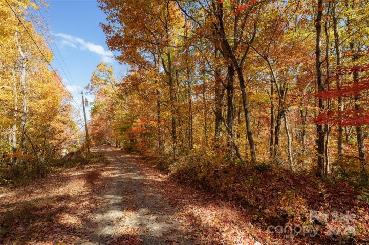 99999 Chestnut Drive sold home in Meadow View Estates, Leicester, NC