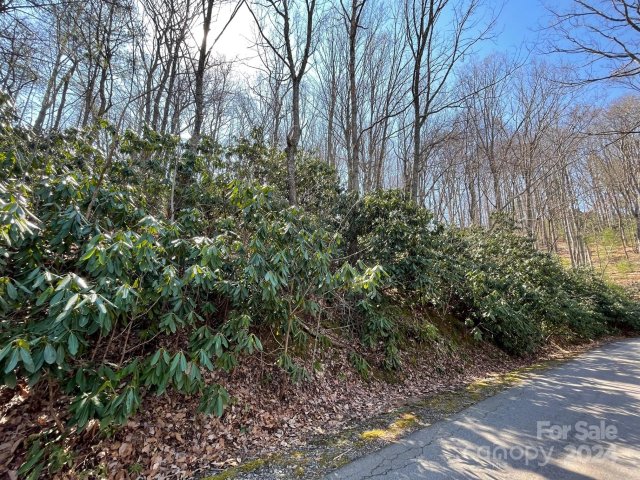 111 Deer Run Lane active home in Buffalo Mountain, Asheville, NC