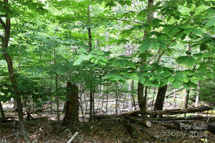 102 Blackberry Trail 235/C sold home in Charter Hills, Beech Mountain, NC