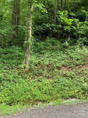 Lot 45 46 Mckenzie Way 45-46 active home in Gateway Mountain, Old Fort, NC