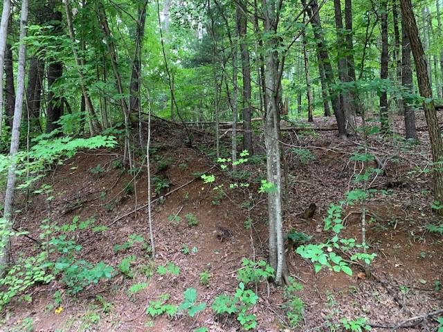 Lot 49 50 Mckenzie Way active home in Gateway Mountain, Old Fort, NC