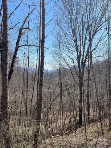 000 Trotters Trail sold home in Hills Of Cataloochee, Waynesville, NC