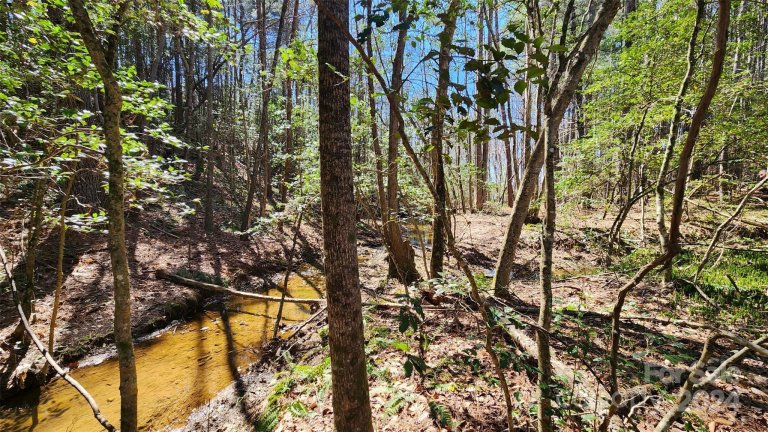 5163 Hurricane Hill Road 53 sold home in Grace Harbour, Granite Falls, NC