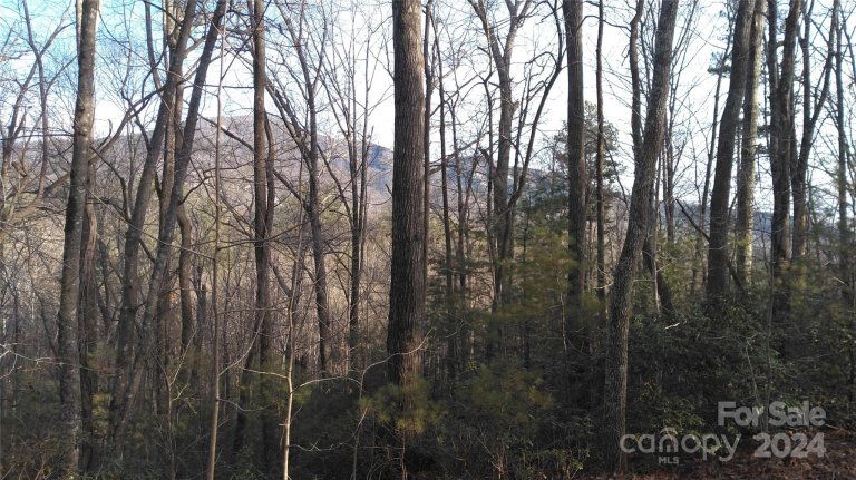 Lot 24a 28a Quail Drive sold home in Deerwood, Marion, NC