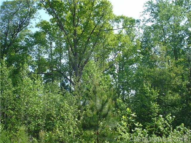 1138 Pleasant Road Lot 8 sold home in Mountain Meadows, Bessemer City, NC