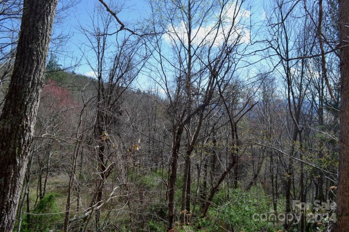 Homes in Chunns Crest, Asheville