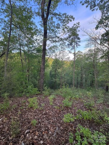 0 Willow Top Lane active home in Vista At Bills Mountain, Lake Lure, NC