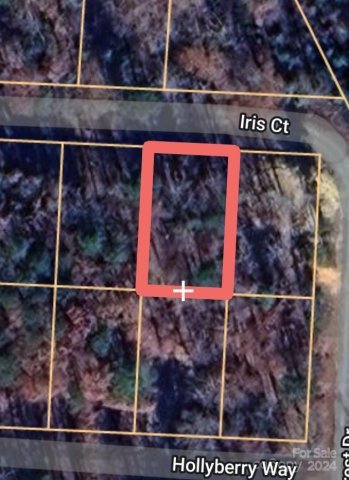 0 Iris Court sold home in Holiday Shores, Troy, NC