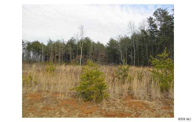 2458 Genelia Drive sold home in Charlottes Crossing, Claremont, NC