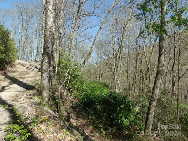 00 Long Branch Road 19 sold home in Smokey Mountain Acres, Maggie Valley, NC